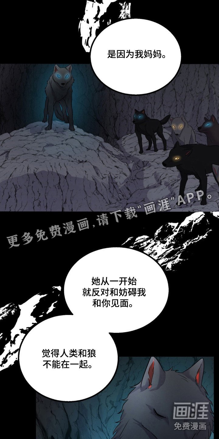 第30章：头痛过程