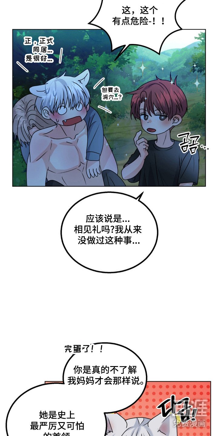 第30章：头痛过程