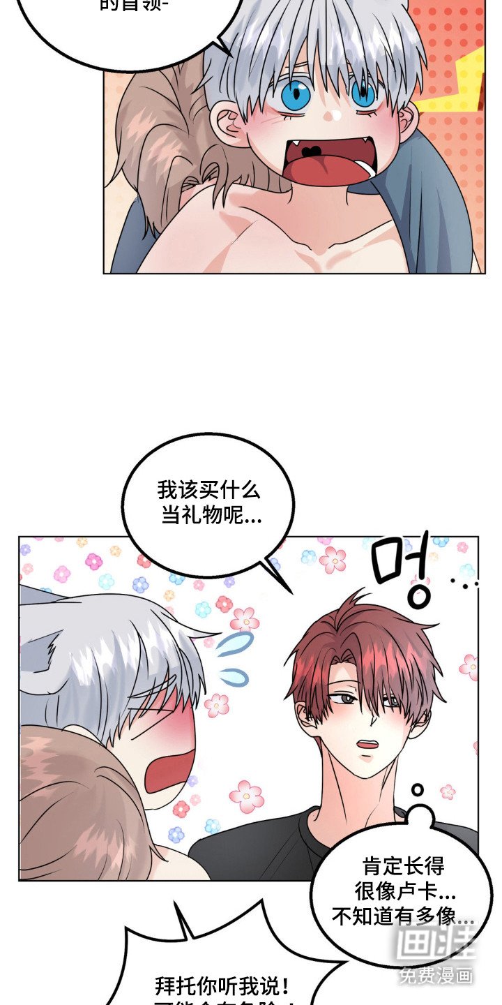 第30章：头痛过程