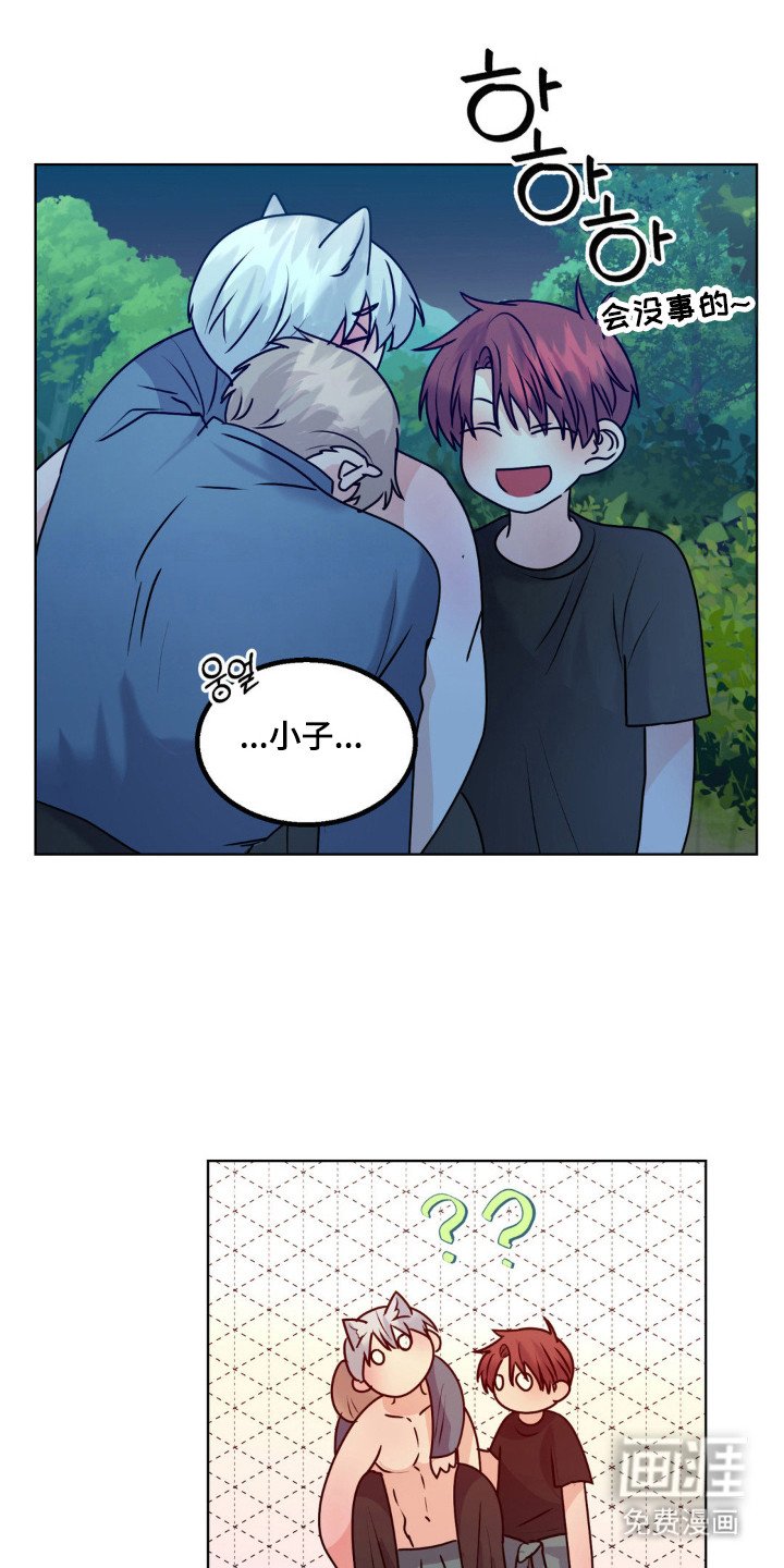 第30章：头痛过程