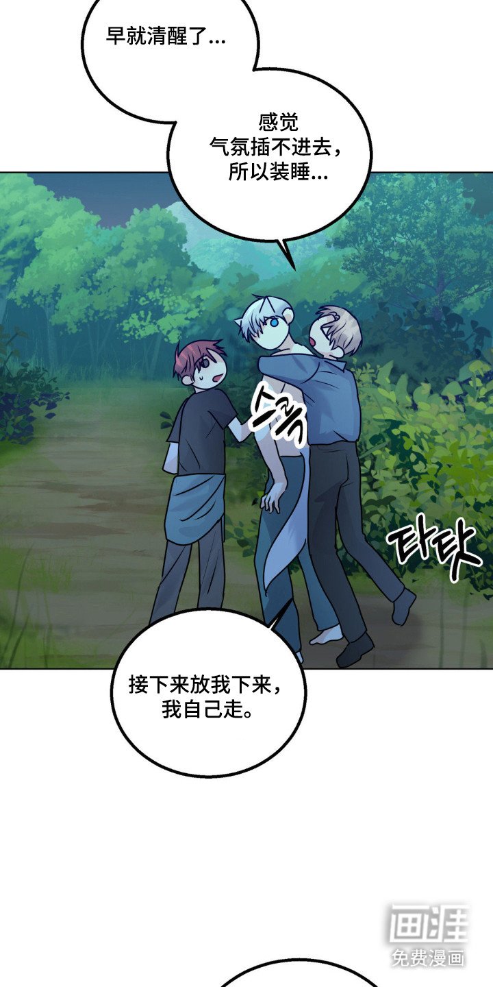 第30章：头痛过程