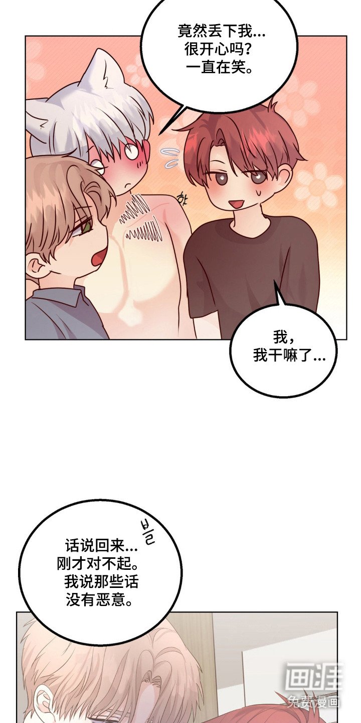 第30章：头痛过程