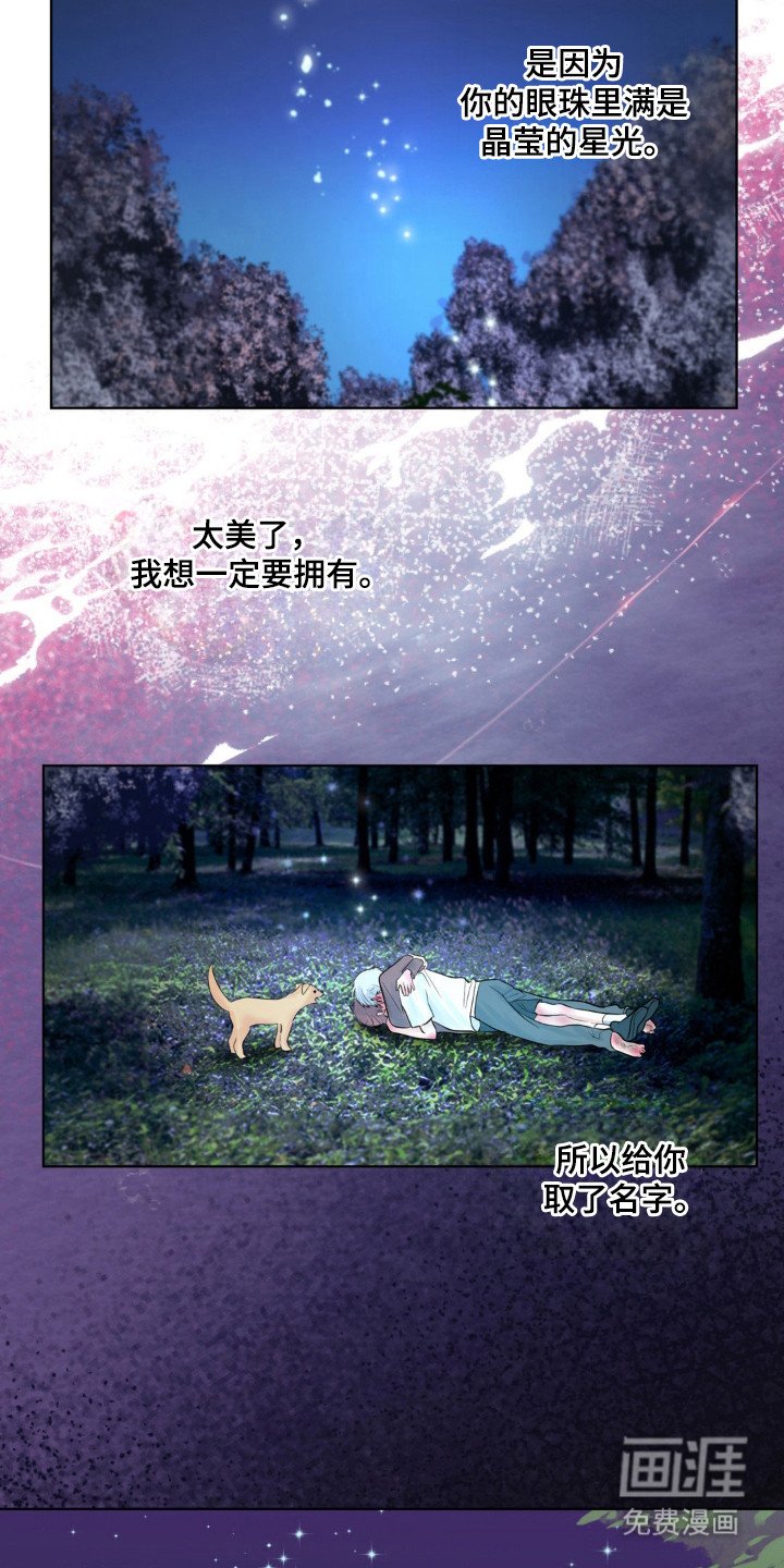 第31章：不会改变（完结）