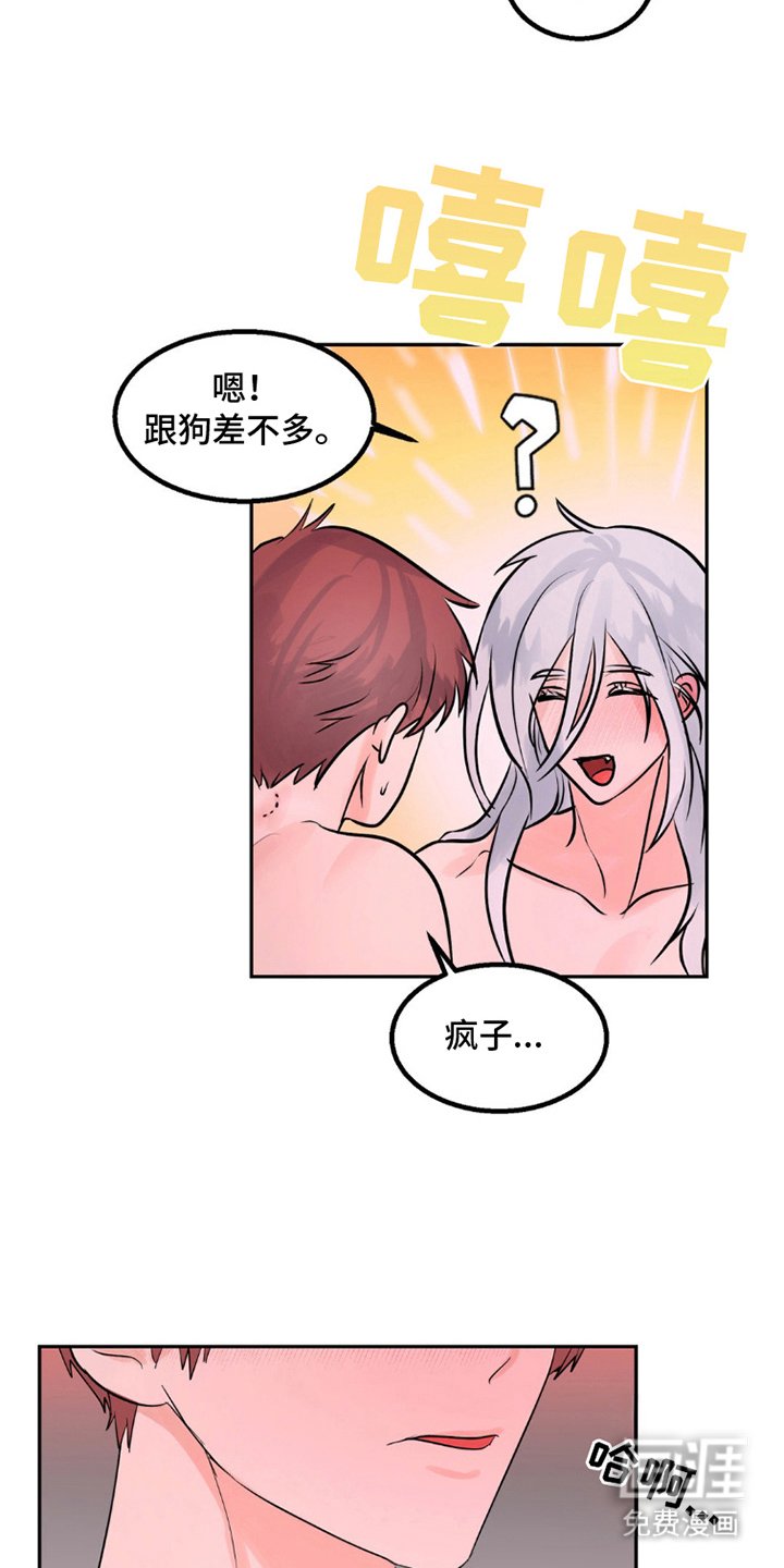 第5章：胡说八道