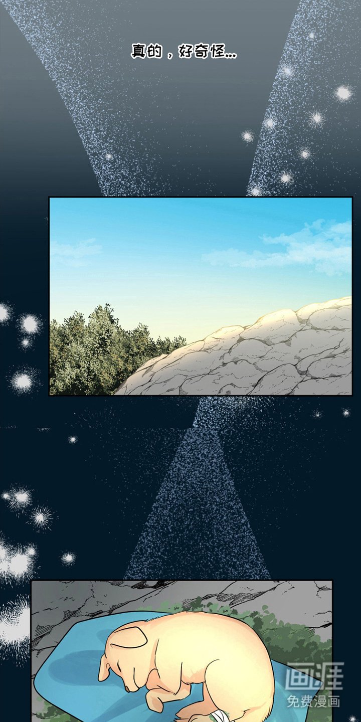 第5章：胡说八道