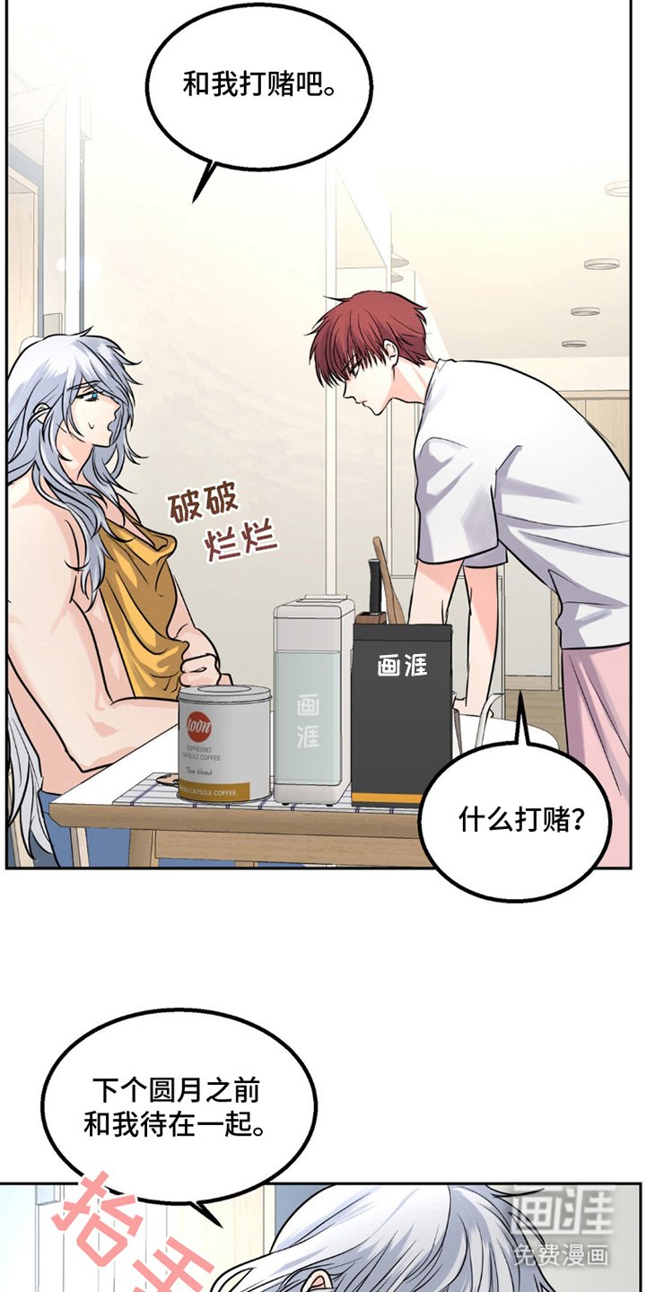 第7章：赌约