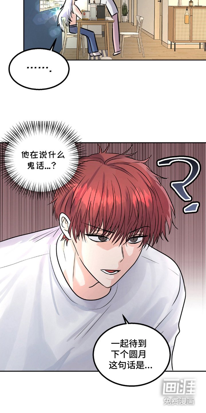 第7章：赌约