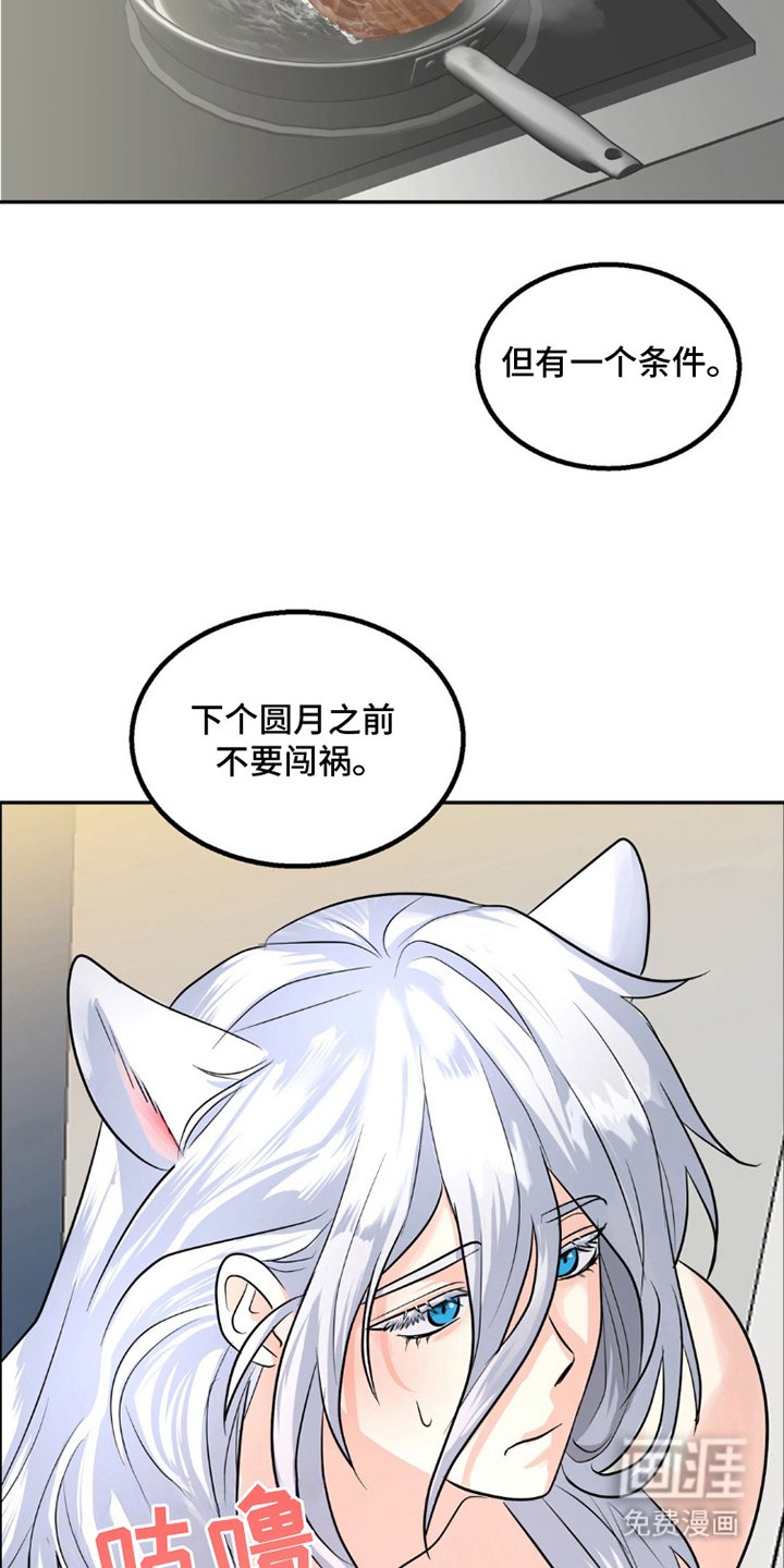 第8章：限时同居