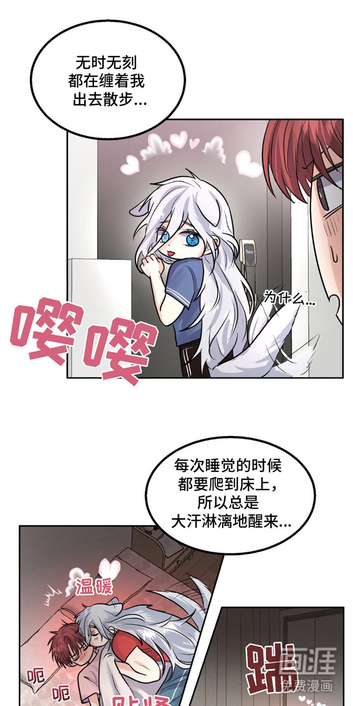 第9章：狼吃什么