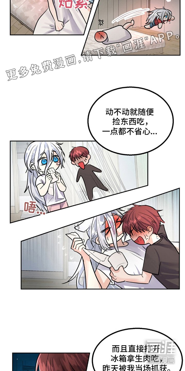 第9章：狼吃什么