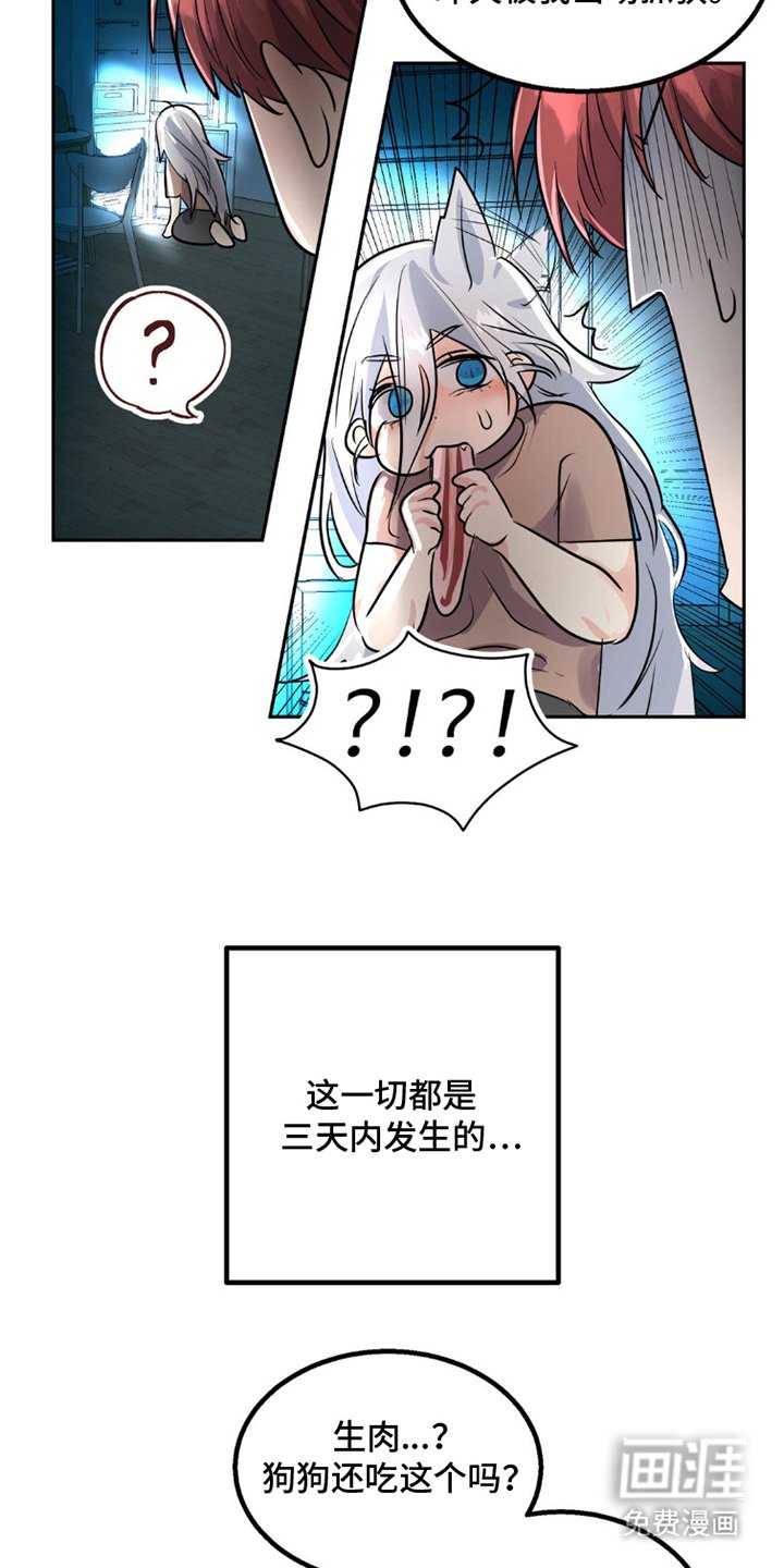 第9章：狼吃什么