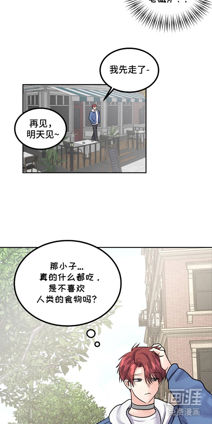 第9章：狼吃什么