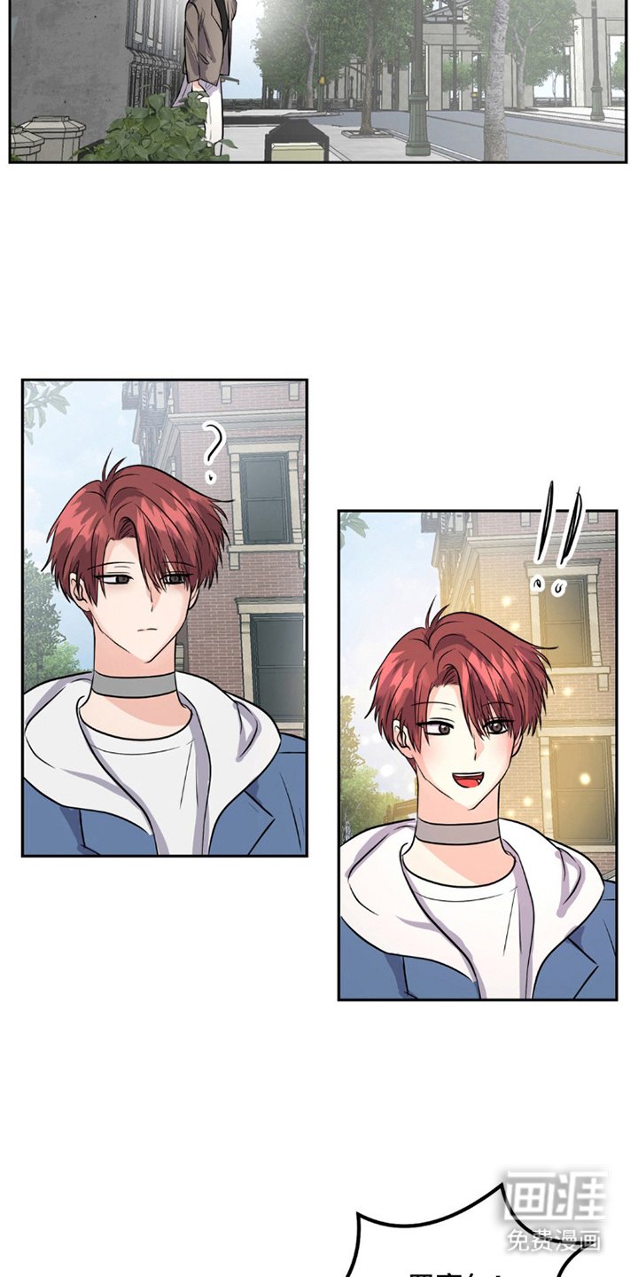 第9章：狼吃什么