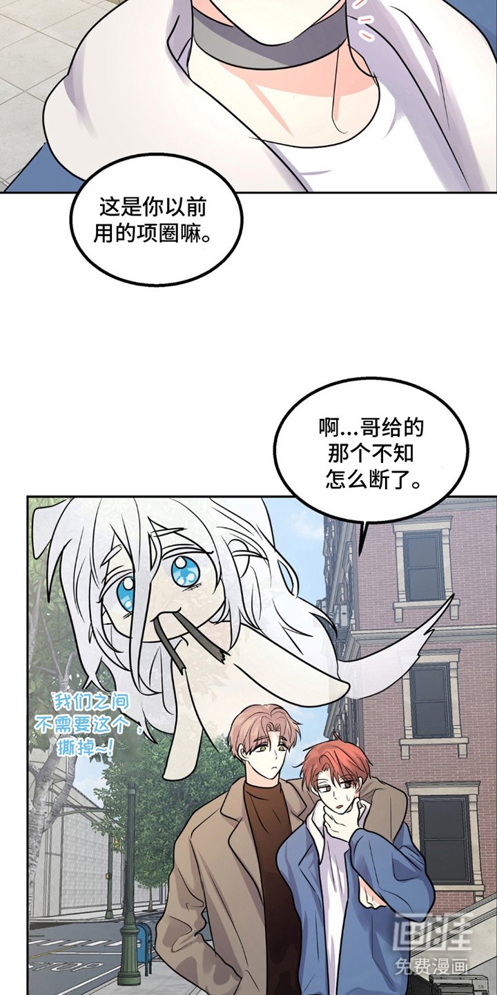 第9章：狼吃什么
