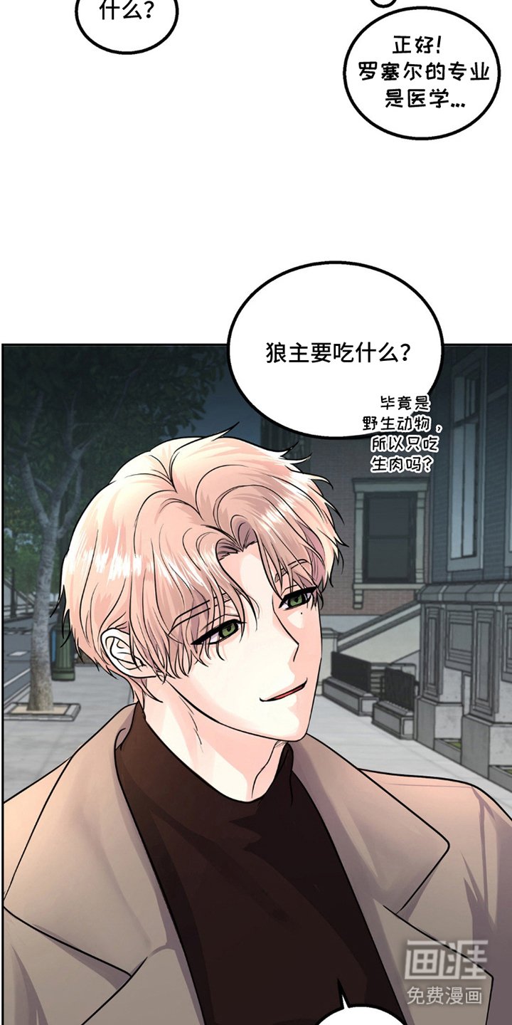 第9章：狼吃什么