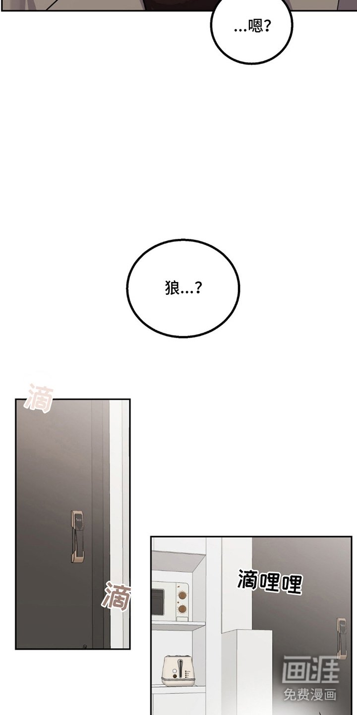 第9章：狼吃什么