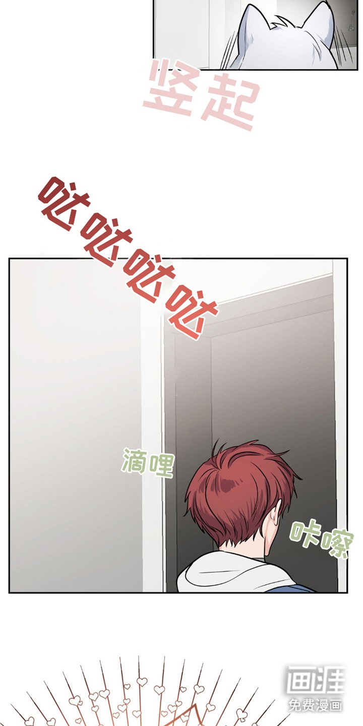 第9章：狼吃什么