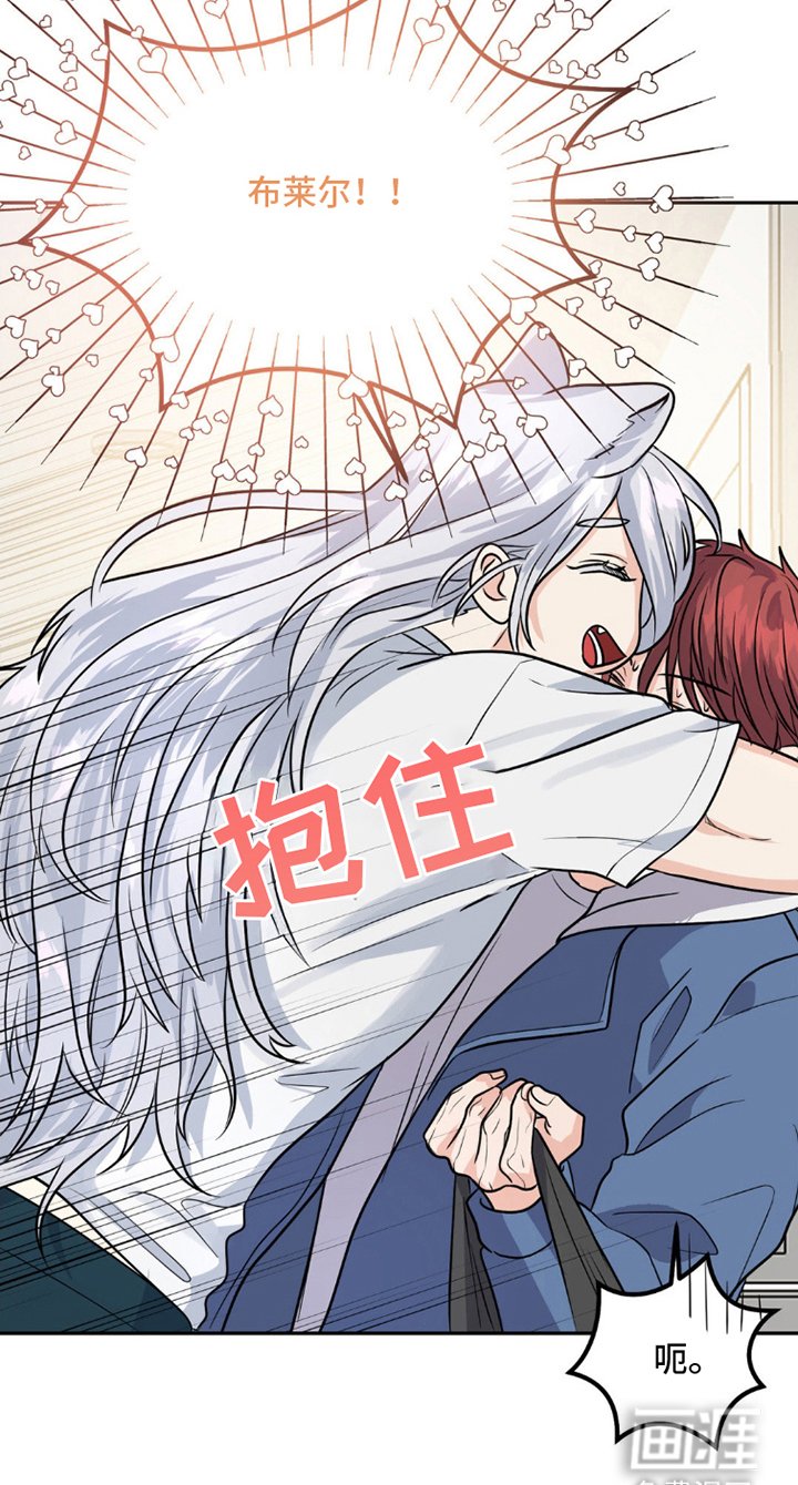 第9章：狼吃什么