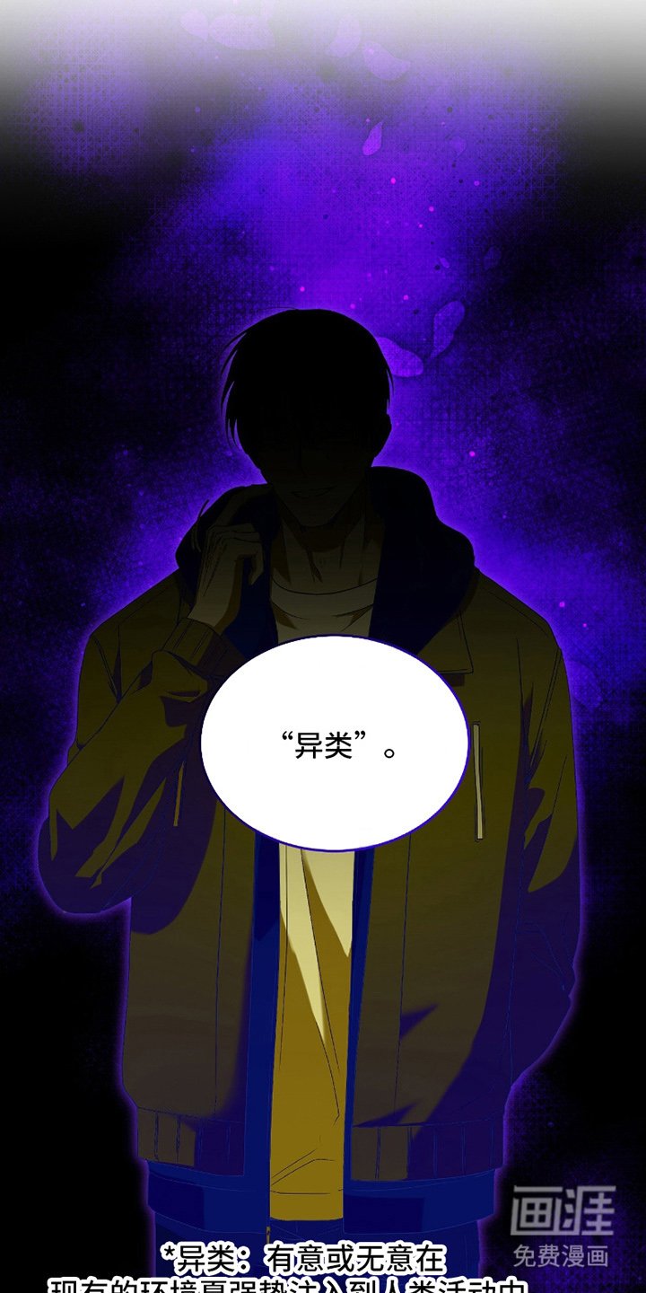 第4章：用你的方式