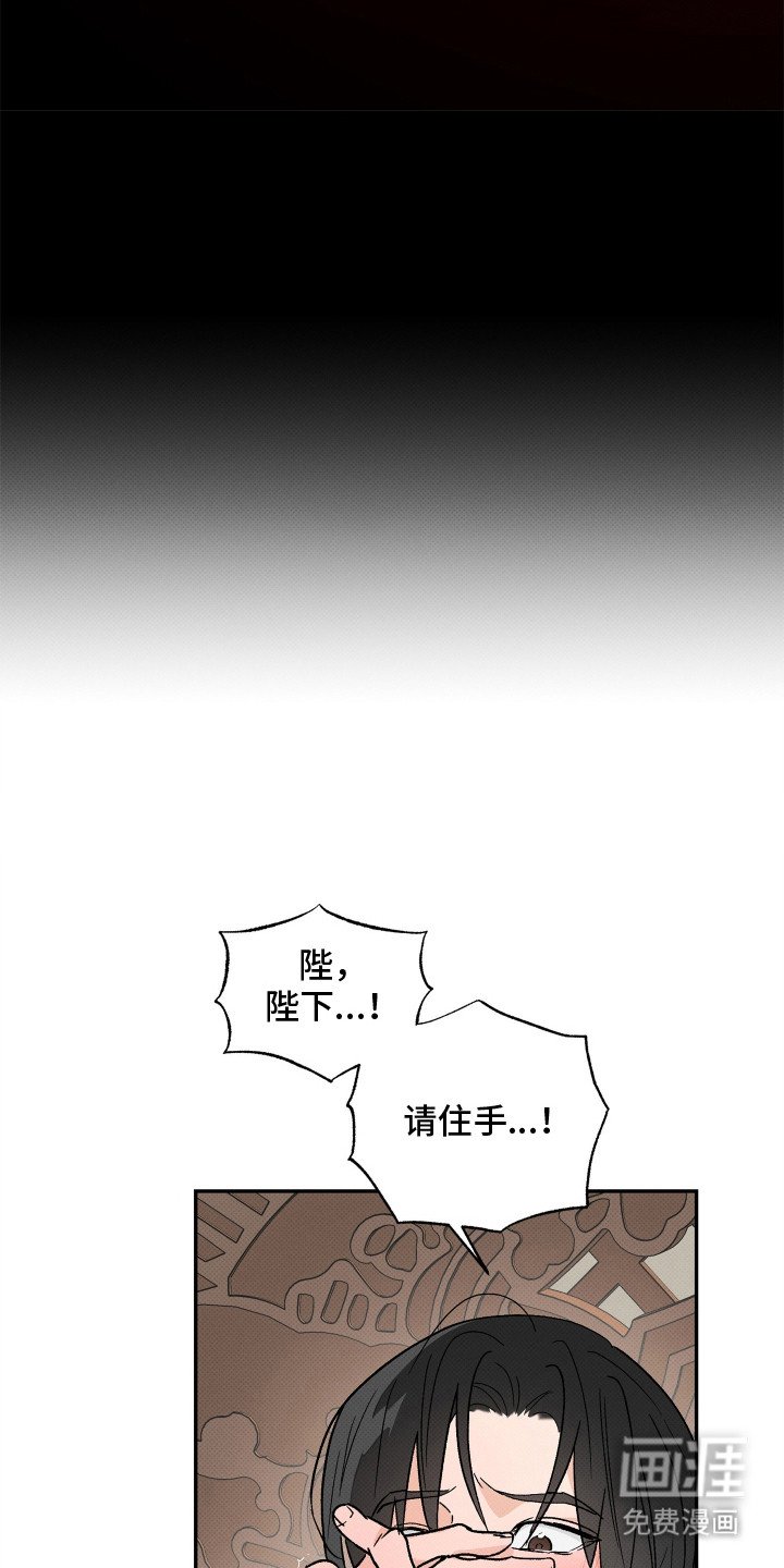第1章：质子