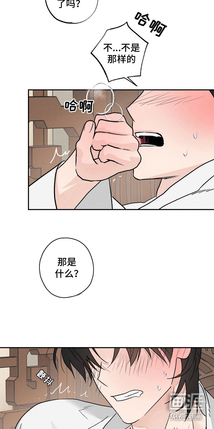 第1章：质子