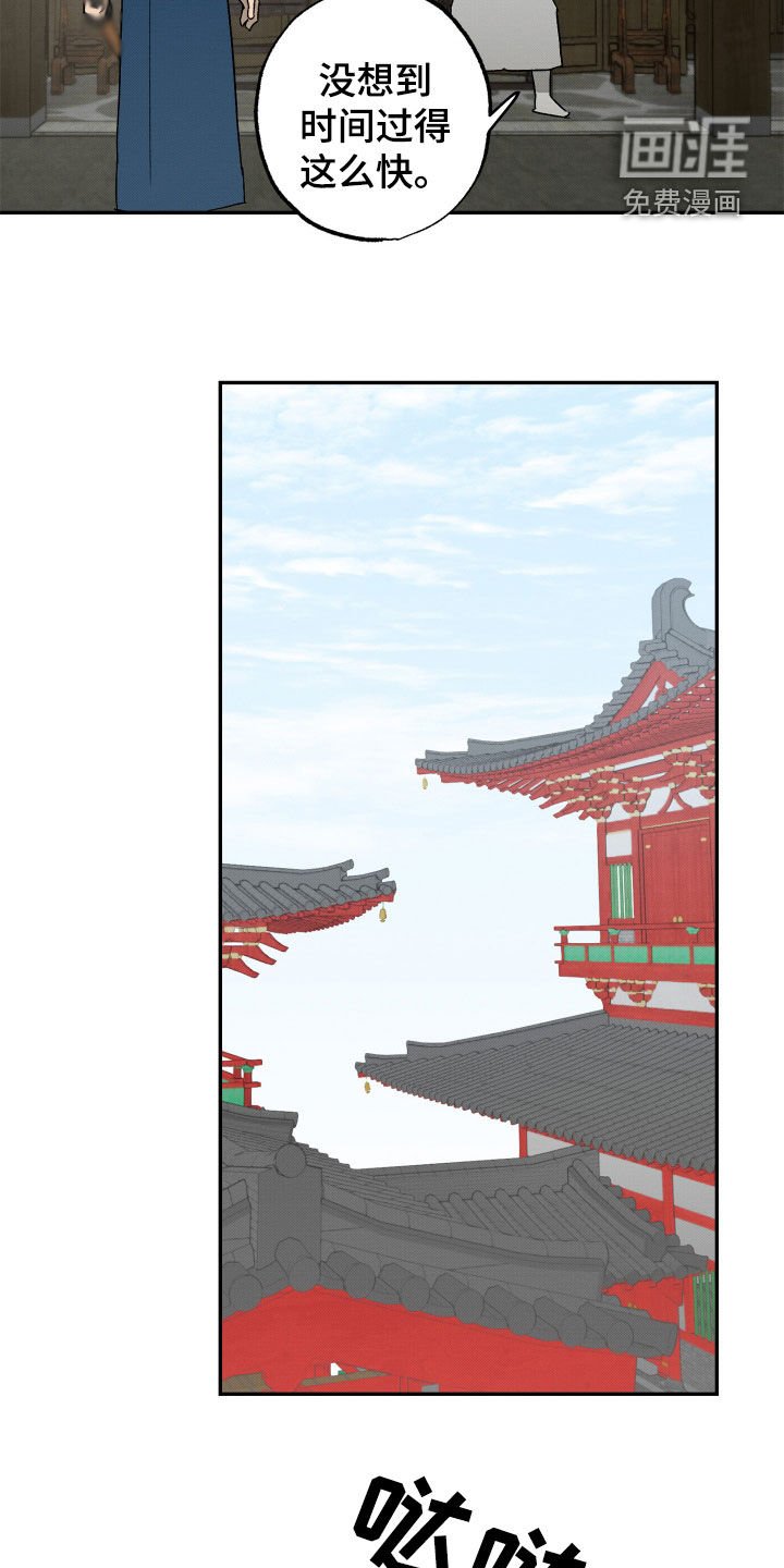 第13章：训练