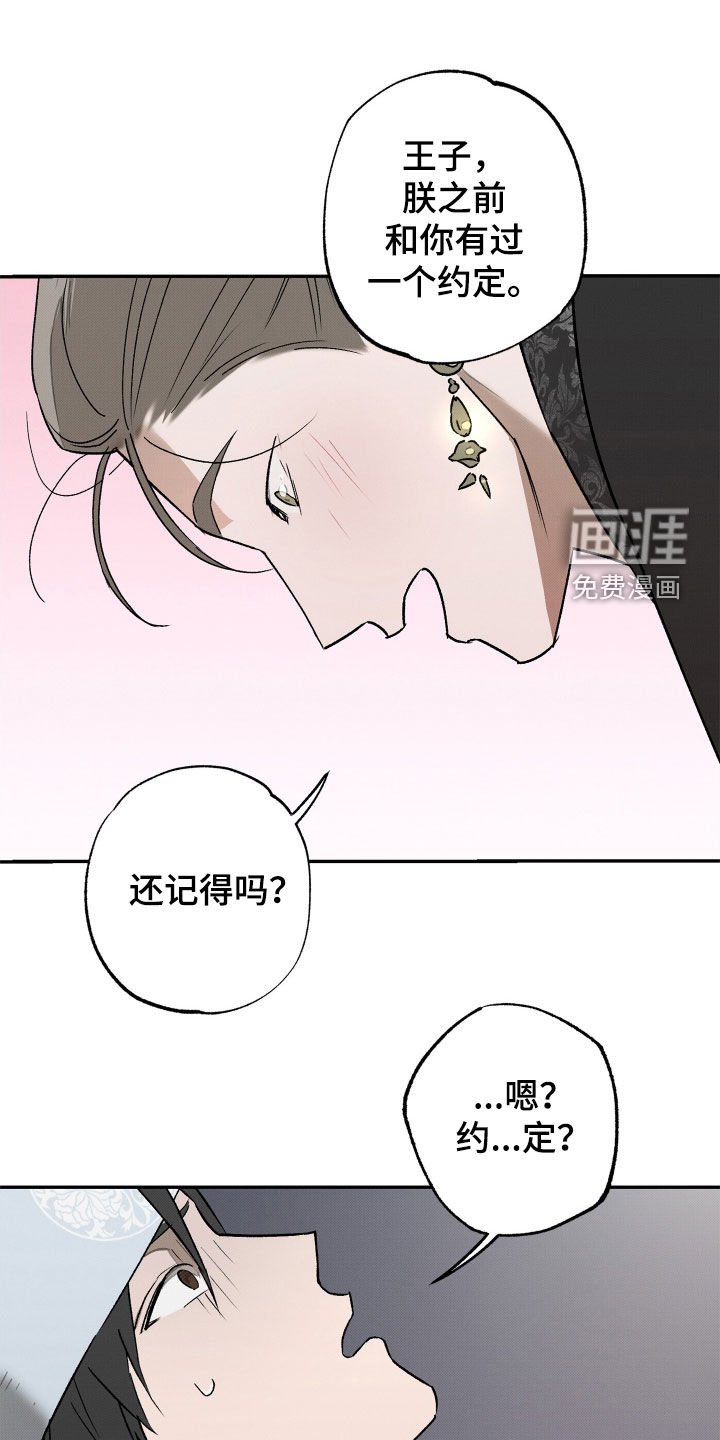 第14章：约定