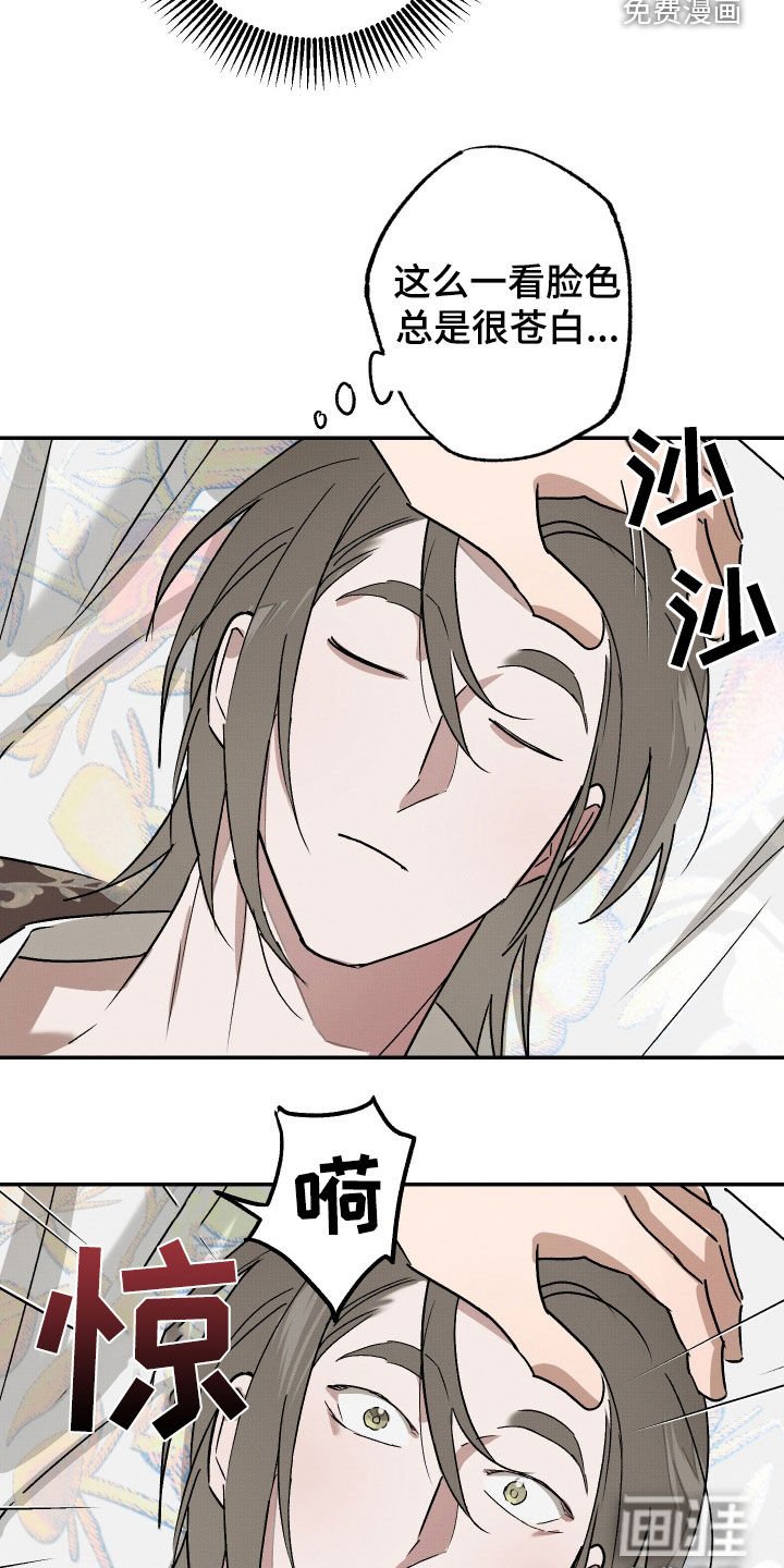 第20章：药味