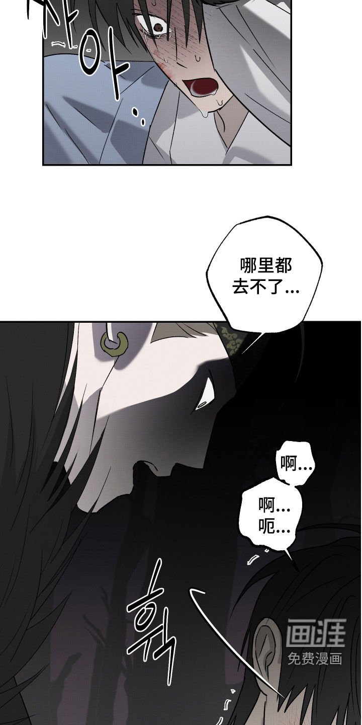 第27章：饶命