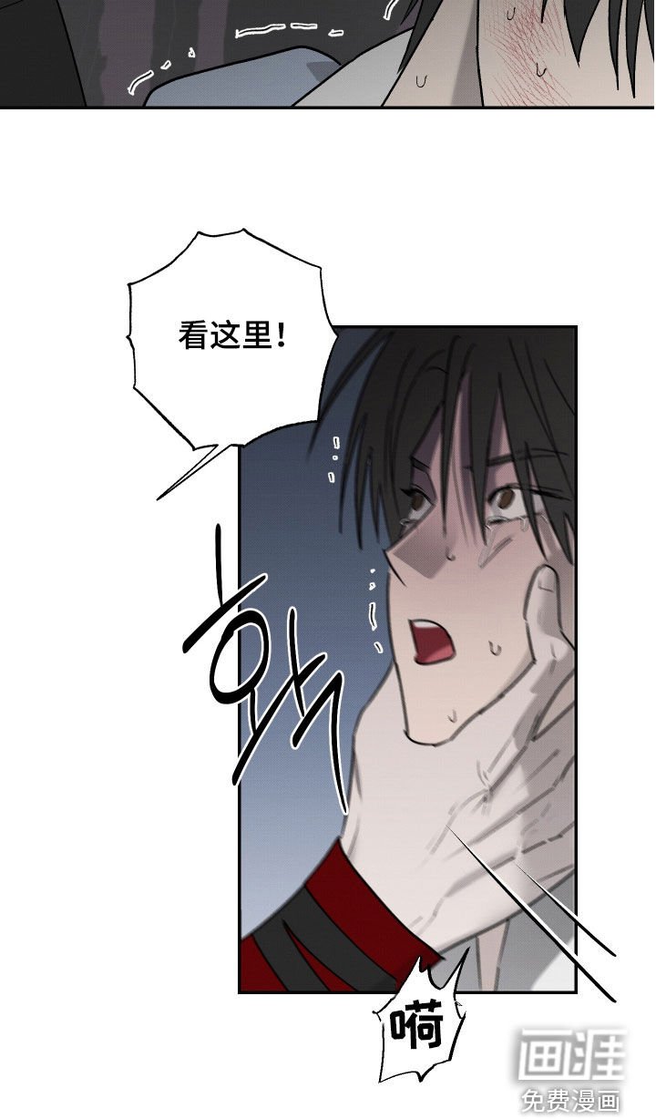 第27章：饶命