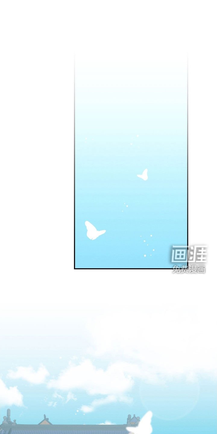 第33章：【第二季】一只兔子