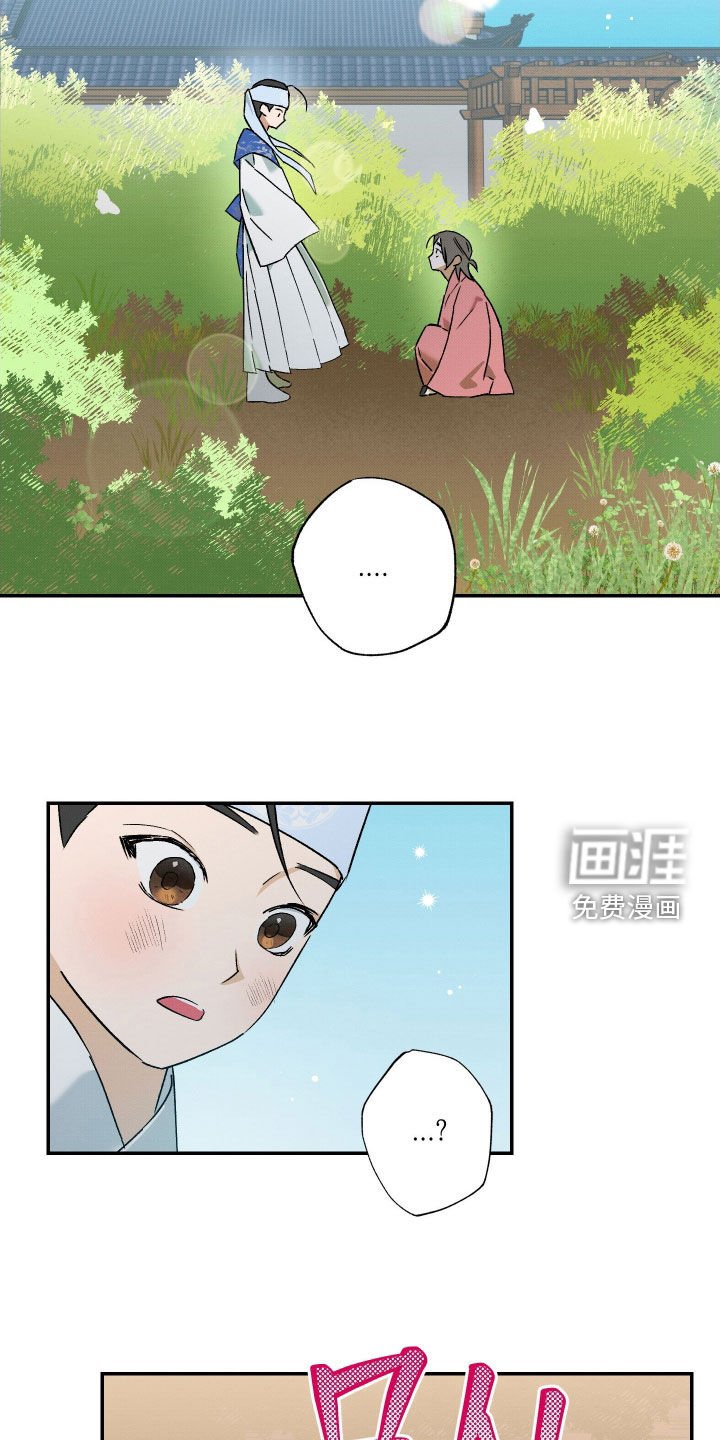 第33章：【第二季】一只兔子