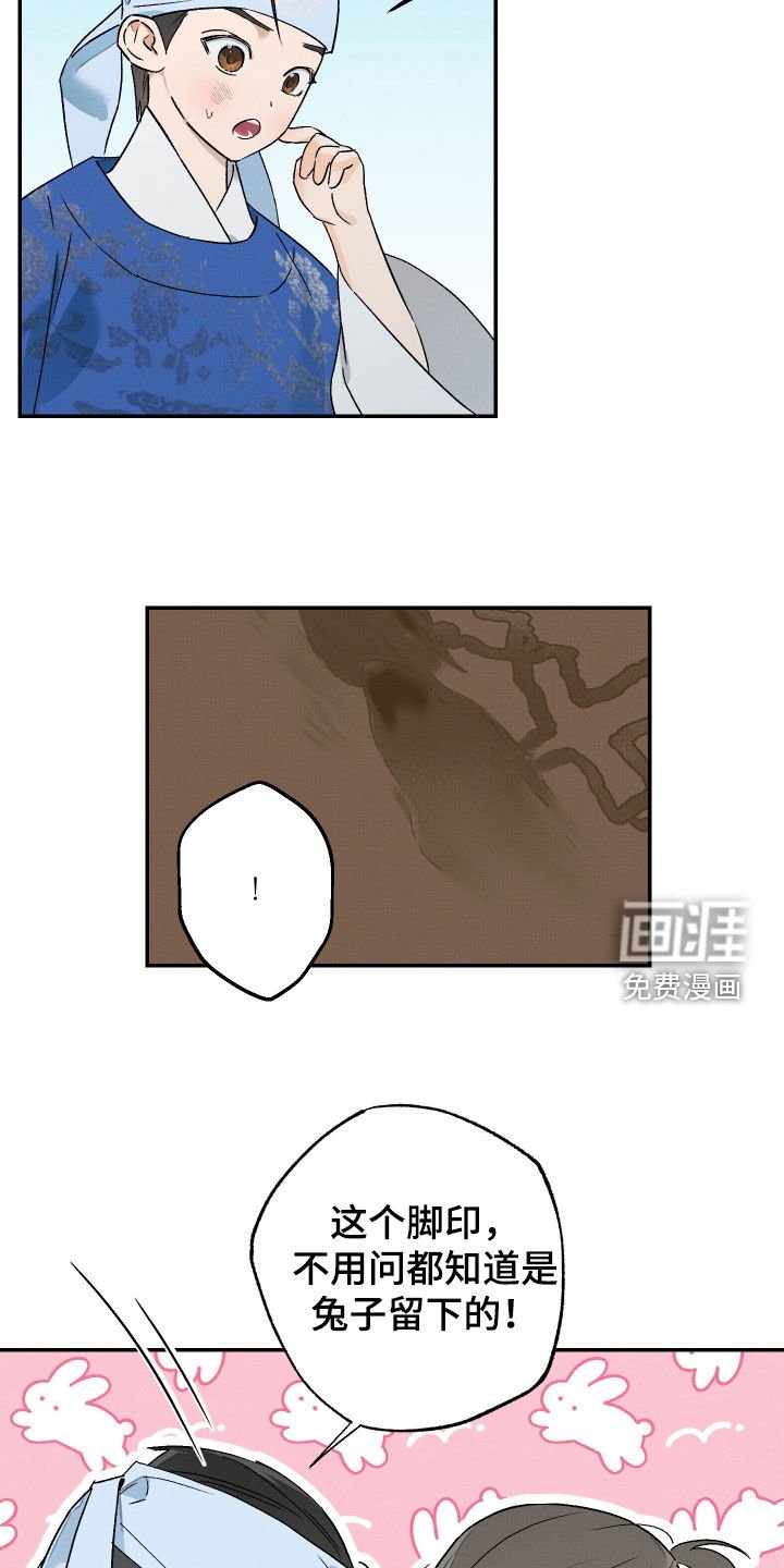 第33章：【第二季】一只兔子