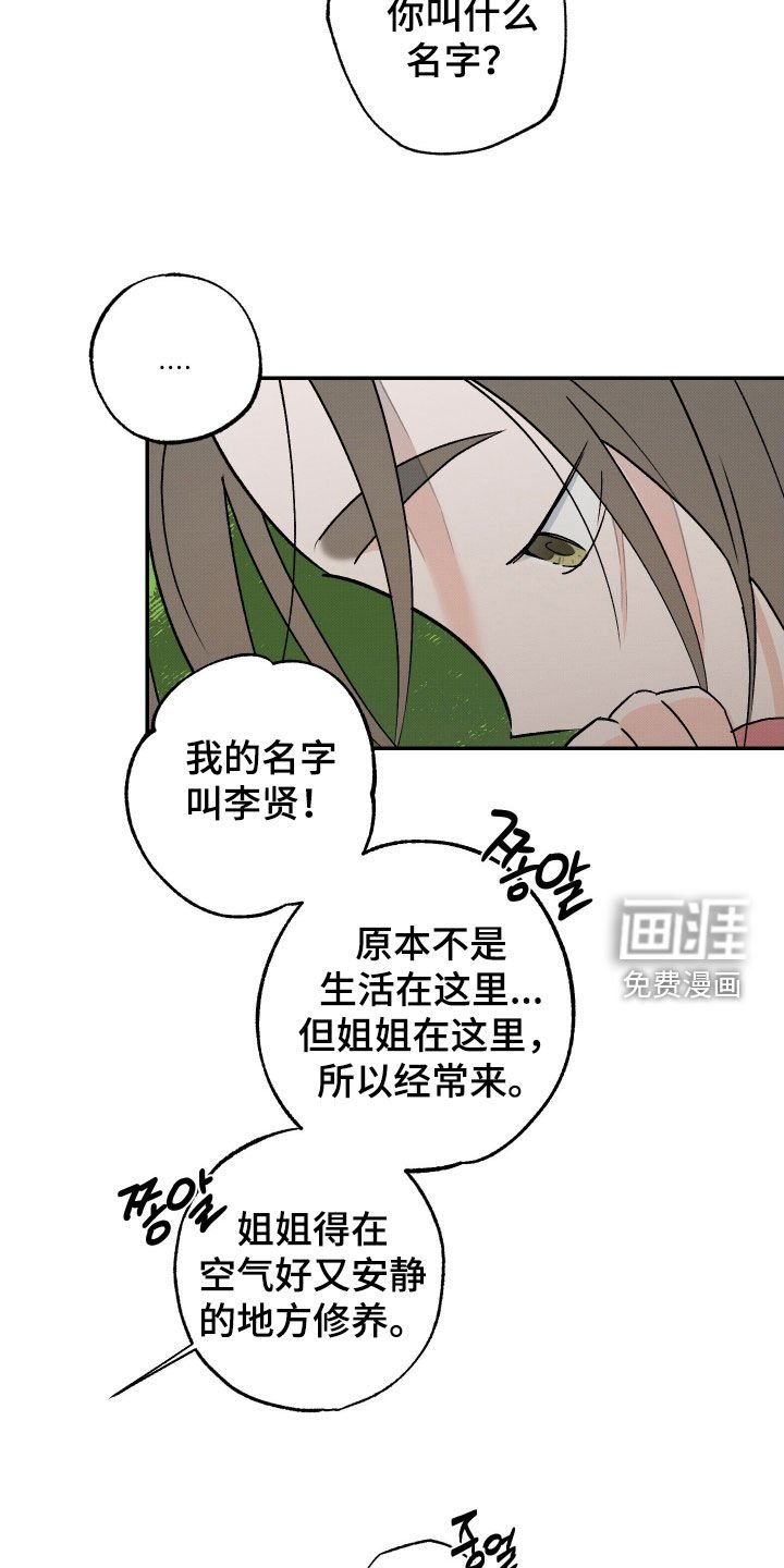 第33章：【第二季】一只兔子