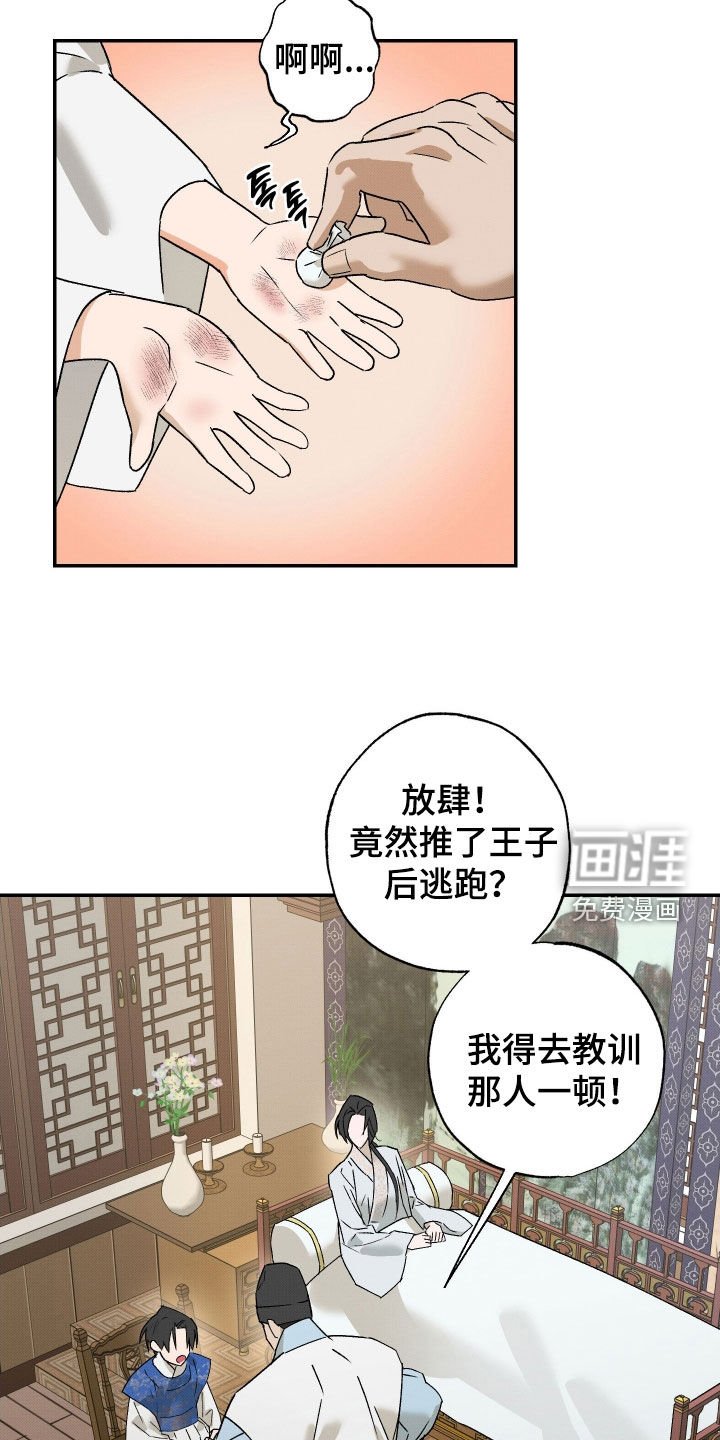第33章：【第二季】一只兔子