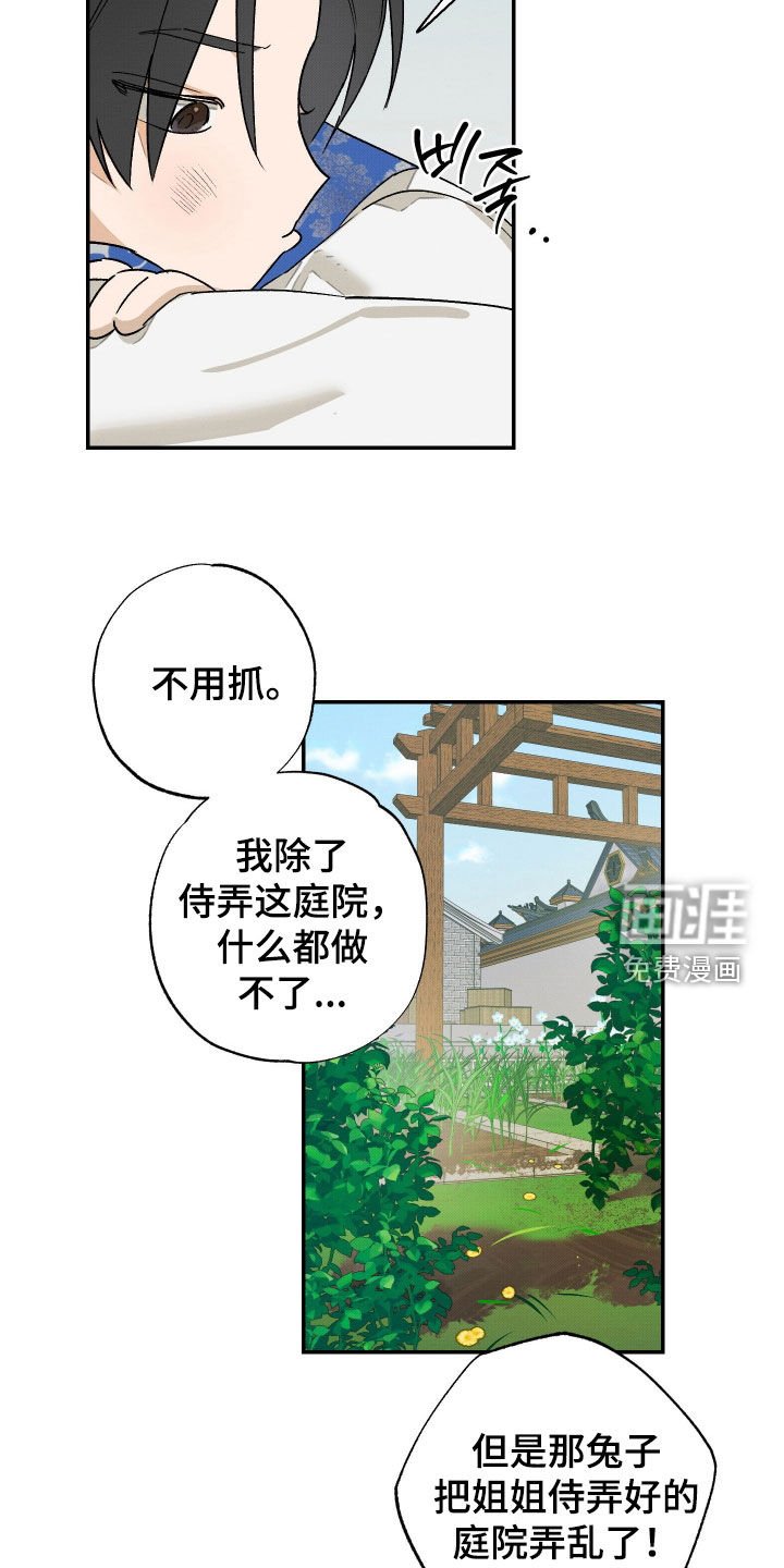 第33章：【第二季】一只兔子