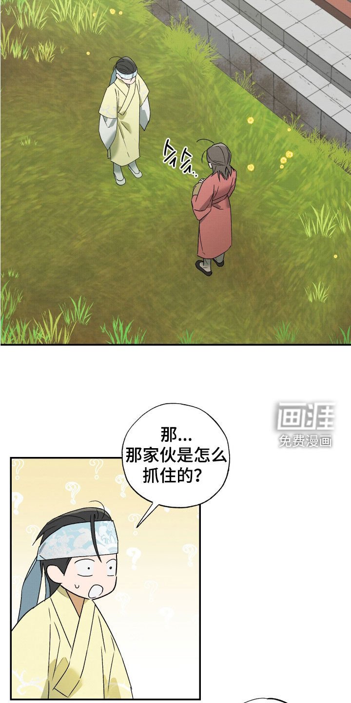 第33章：【第二季】一只兔子