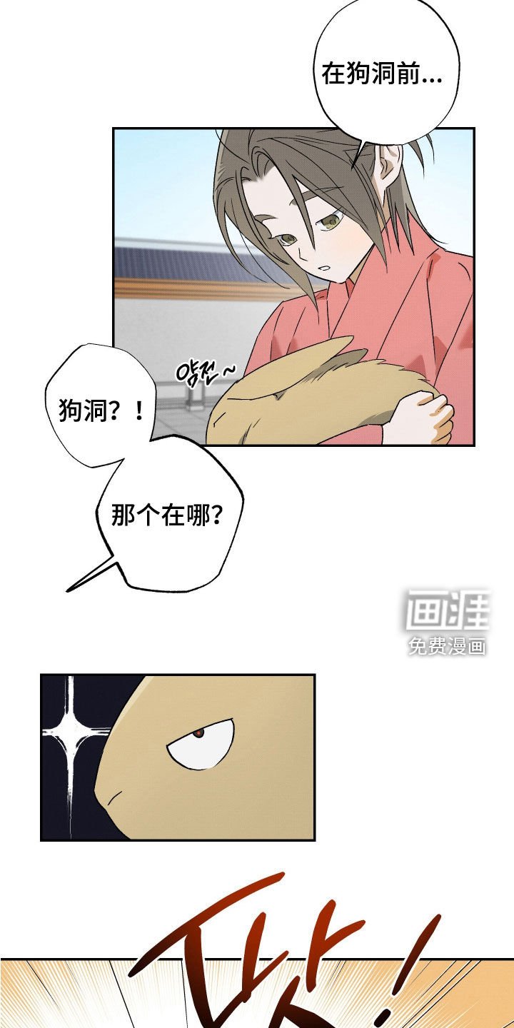 第33章：【第二季】一只兔子