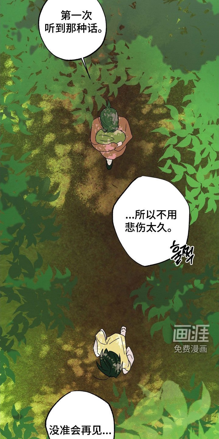 第35章：【第二季】可怜