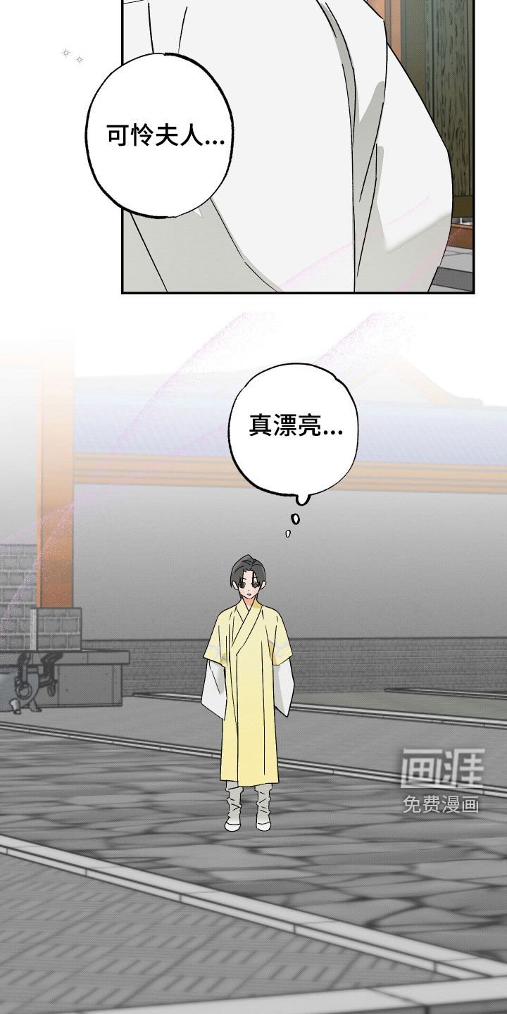 第35章：【第二季】可怜