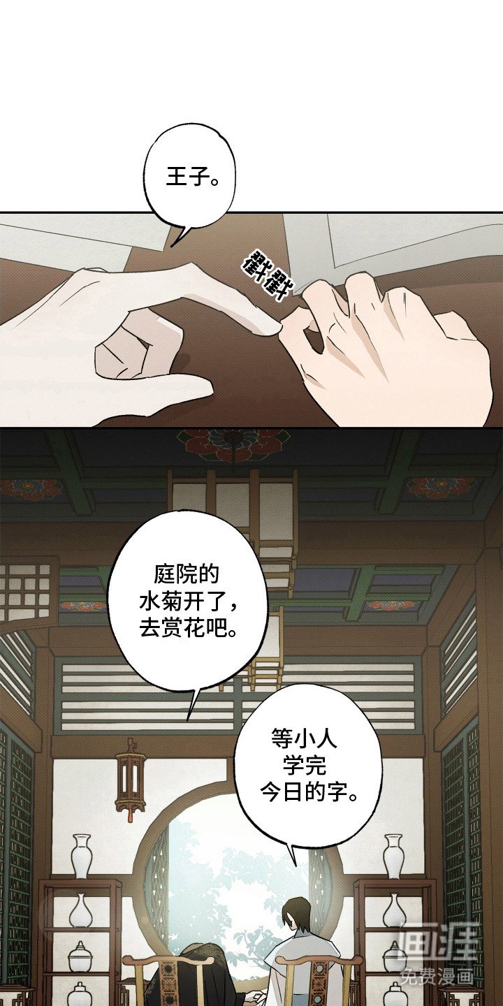第5章：不理解