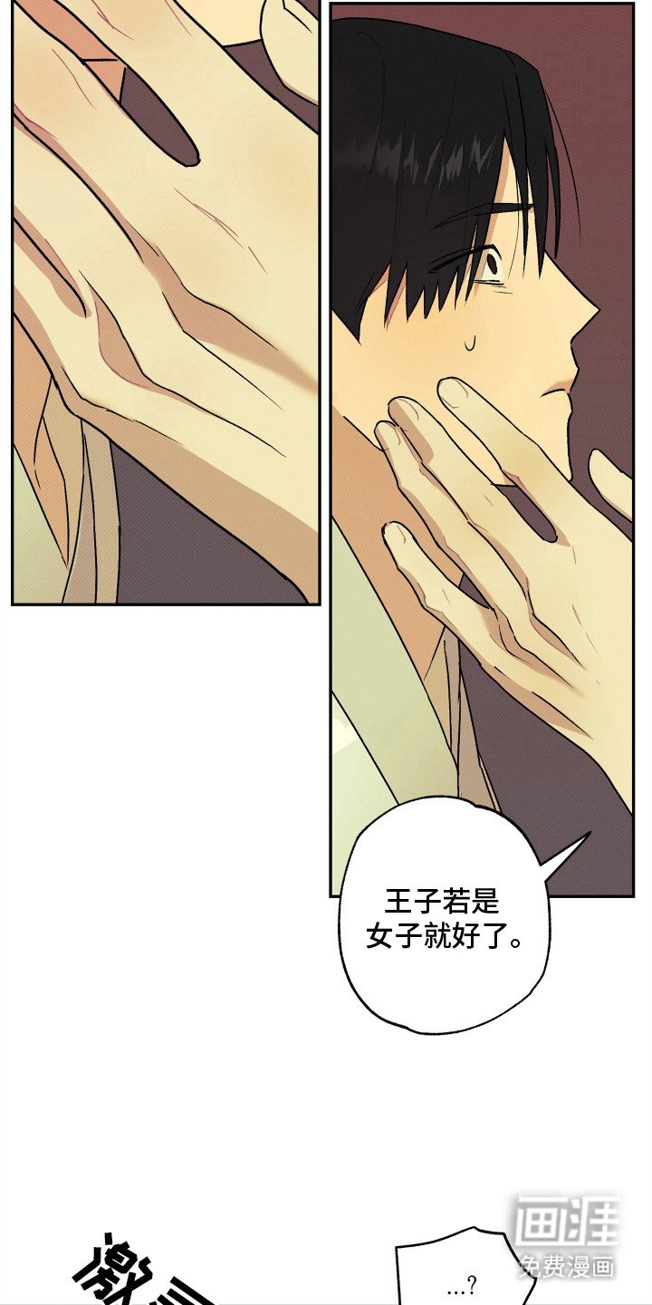 第5章：不理解