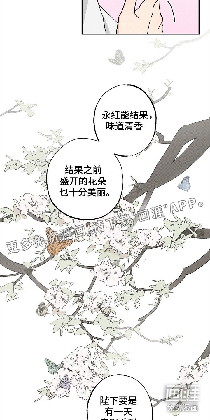 第8章：永红果