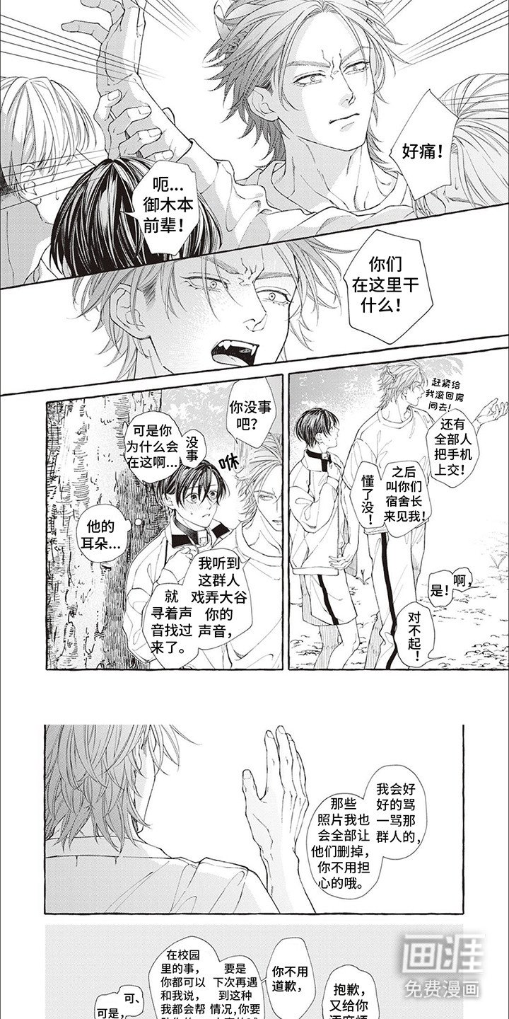 第12章：约定