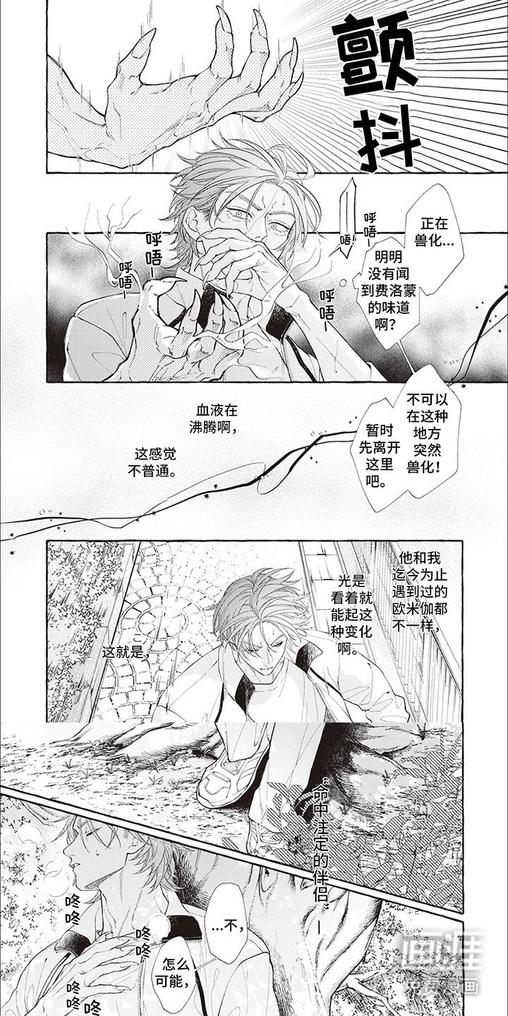 第13章：【番外】他们的初见（完结）