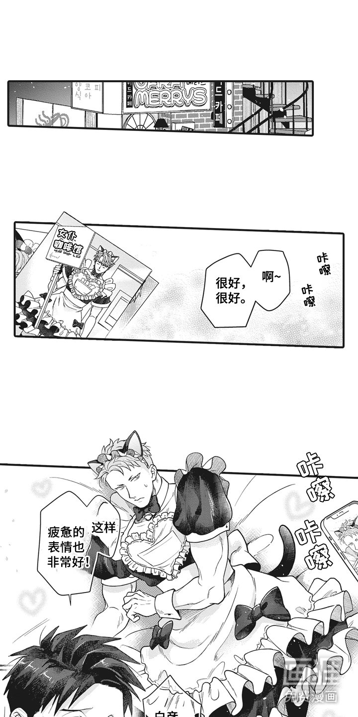 第27章：最后的阶段（完结）
