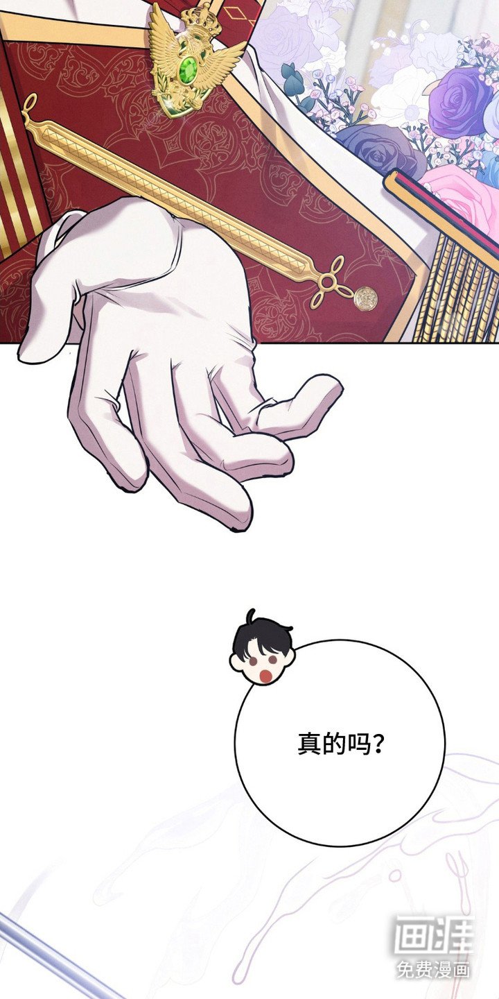 第11章：呆愣愣
