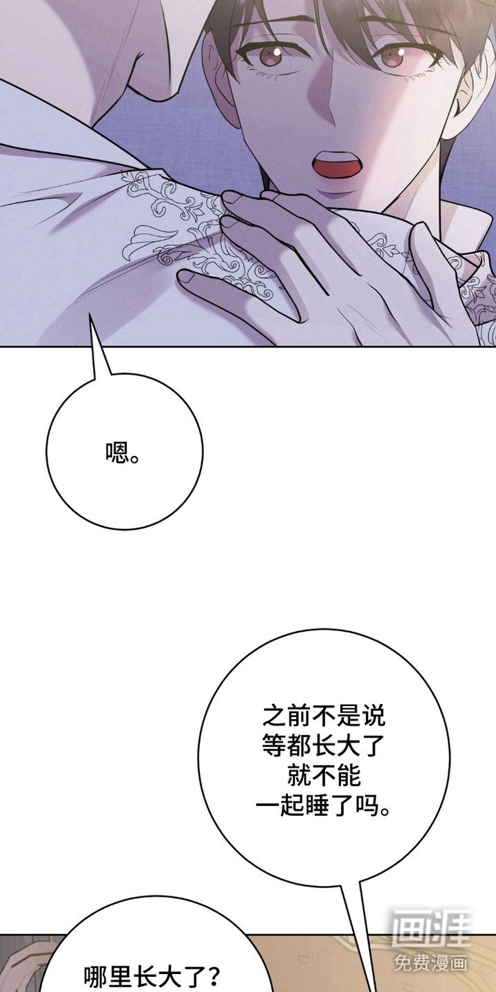 第15章： 这辈子的目标