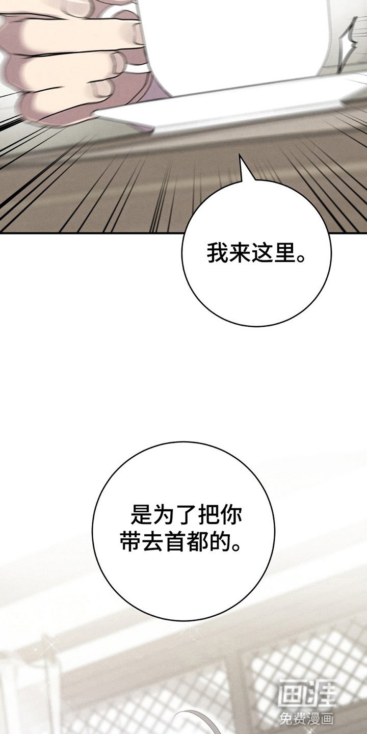 第2章：接他去首都