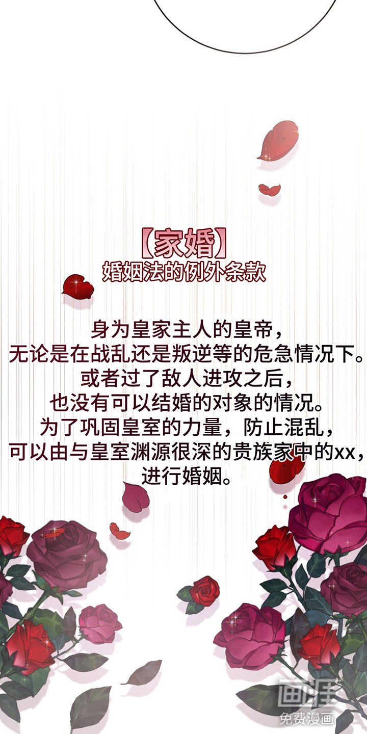 第2章：接他去首都